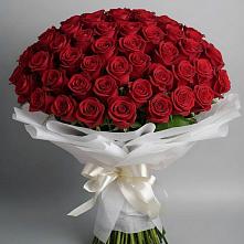 Букет 101 Красная роза Блэк Мэджик в Уренгое