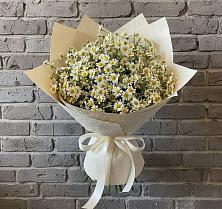 Букет цветов из:  Ромашки #REPLACE_PRED# Уренгое