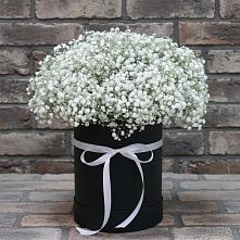 Цветочная композиция из Гипсофила в шляпной коробке #REPLACE_PRED# Уренгое