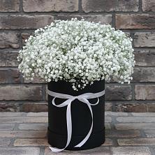 Цветочная композиция из Гипсофила в шляпной коробке в Уренгое