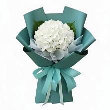 Букет цветов из:  Гортензия в Уренгое